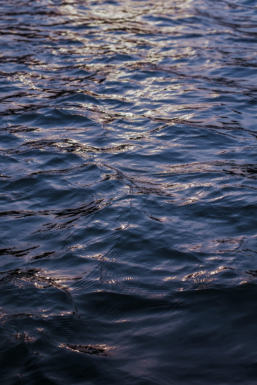 Comment détecter et traiter efficacement une infiltration d'eau dans les combles ? détection et traitement des infiltrations d'eau dans les combles pour protéger votre maison des dégâts et assurer un environnement sain.