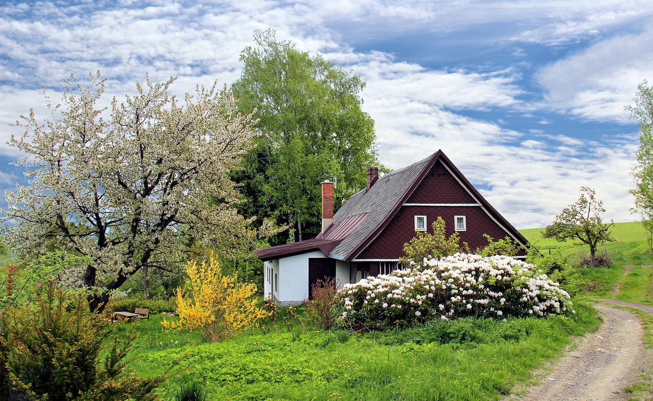 Comment créer une allée de jardin esthétique avec un petit budget ? découvrez nos idées et conseils pour aménager un chemin de jardin accueillant, alliant esthétique et fonctionnalité pour sublimer votre espace extérieur.