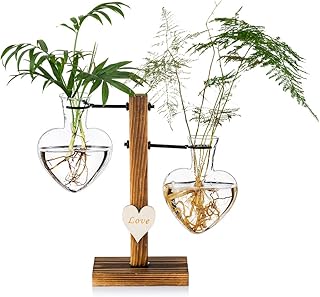 Glasseam Terrarium De Plantes en Verre avec Support en Bois, Vases Hydroponiques en Verre à Double Cœur Créatif, Station De Propagation De Plantes Modernes, Ampoule De Jardinière De Bureau