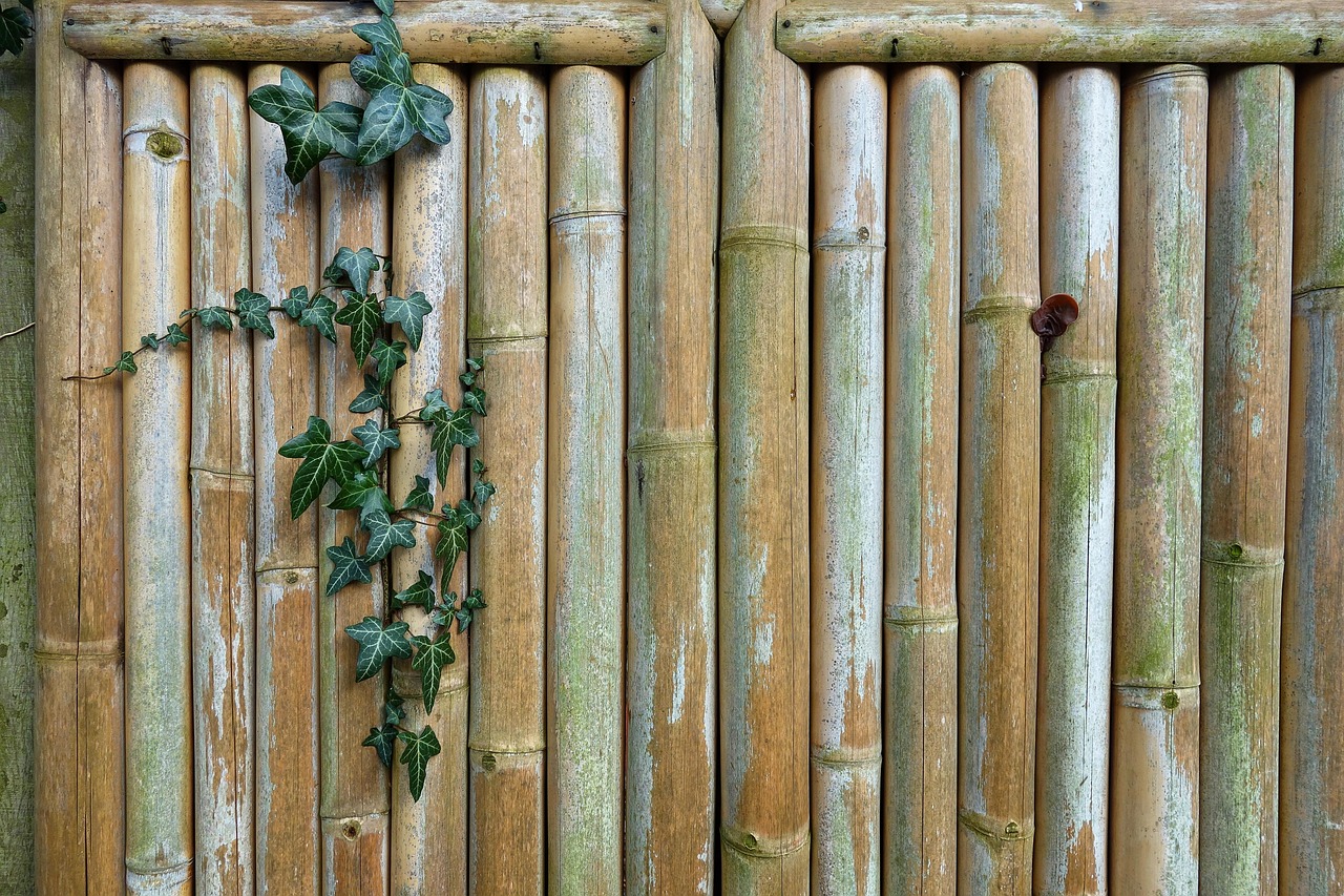 Quels végétaux choisir pour créer un mur végétal extérieur réussi ? découvrez notre sélection de plantes idéales pour un jardin vertical extérieur, parfaites pour sublimer vos espaces en hauteur avec verdure et fraîcheur.