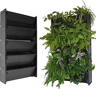 EVERTIA Mur Végétal, Pots pour Mur Végétal Naturel en Extérieur ou Intérieur, Potager Urbain, Système d’Auto-Irrigation, 60 x 100 cm