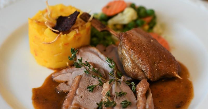 Découvrez comment réussir votre magret de canard au air fryer facilement