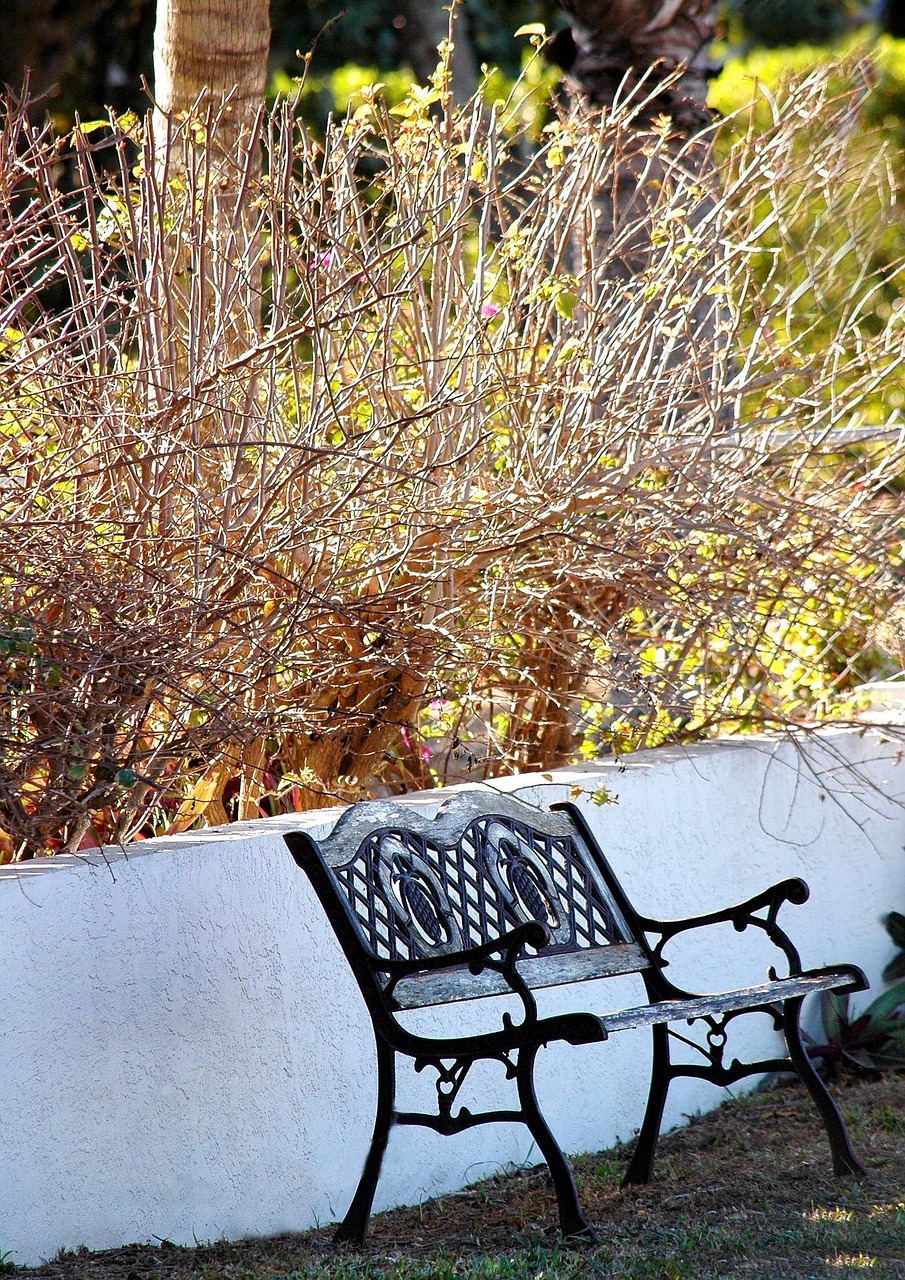 Aménager un petit jardin : astuces pour optimiser l’espace extérieur