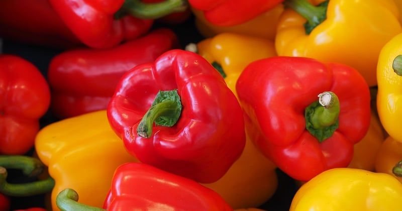 Poivrons air fryer : la recette croustillante et rapide qui change tout