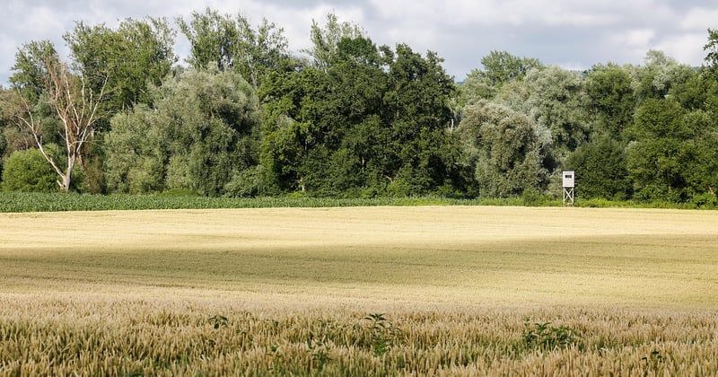 Filet de camouflage militaire : le guide ultime pour se fondre dans le décor