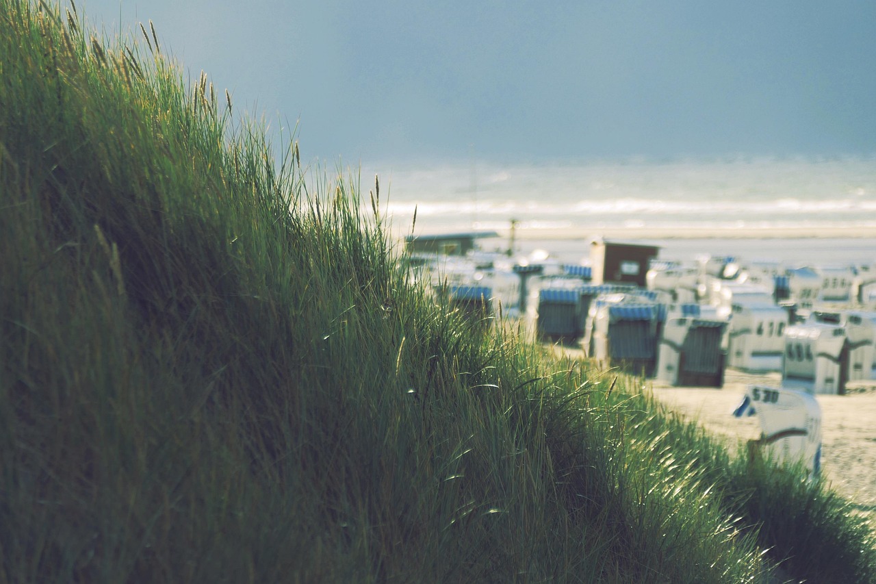 découvrez nos conseils et techniques pour un ponçage parfait, adapté à tous vos projets de rénovation et bricolage.